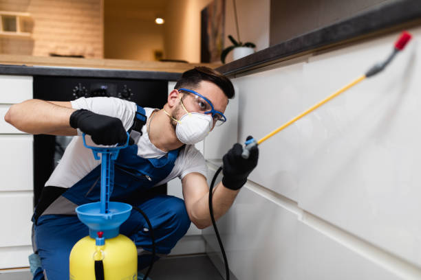 Best Local Pest Control Services  in Big Beaver, PA