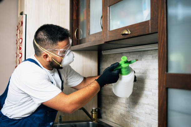 Best Commercial Pest Control Services  in Big Beaver, PA