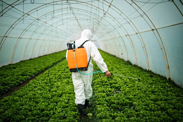 Best Affordable Pest Control Services  in Big Beaver, PA