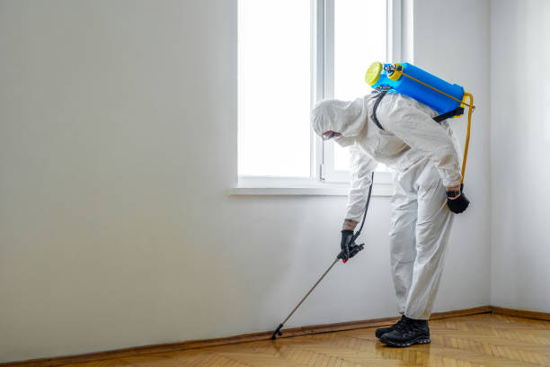 Best Commercial Pest Control Services  in Big Beaver, PA